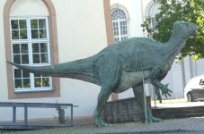 Naturkundemuseum im Ottoneum (Kassel)