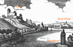 Burgruine Ehrenfels (R&uuml;desheim am Rhein)