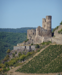 Burgruine Ehrenfels (R&uuml;desheim am Rhein)