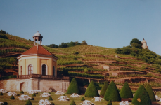 Sächsischen Staatsweingut Schloss Wackerbarth (Radebeul)