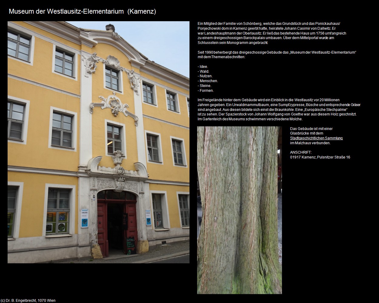 Museum der Westlausitz-Elementarium (Kamenz) in Kulturatlas-SACHSEN(c)B.Engelbrecht