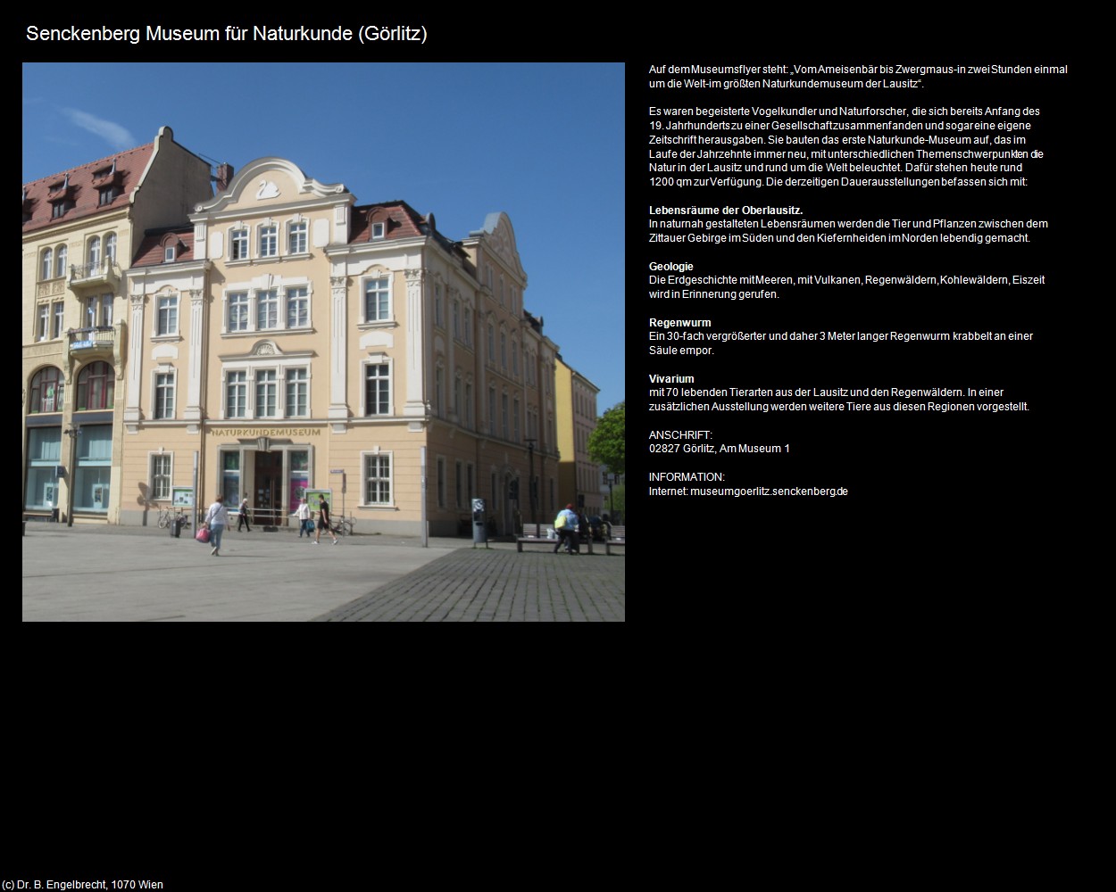 Senckenberg Museum für Naturkunde (Görlitz) in Kulturatlas-SACHSEN