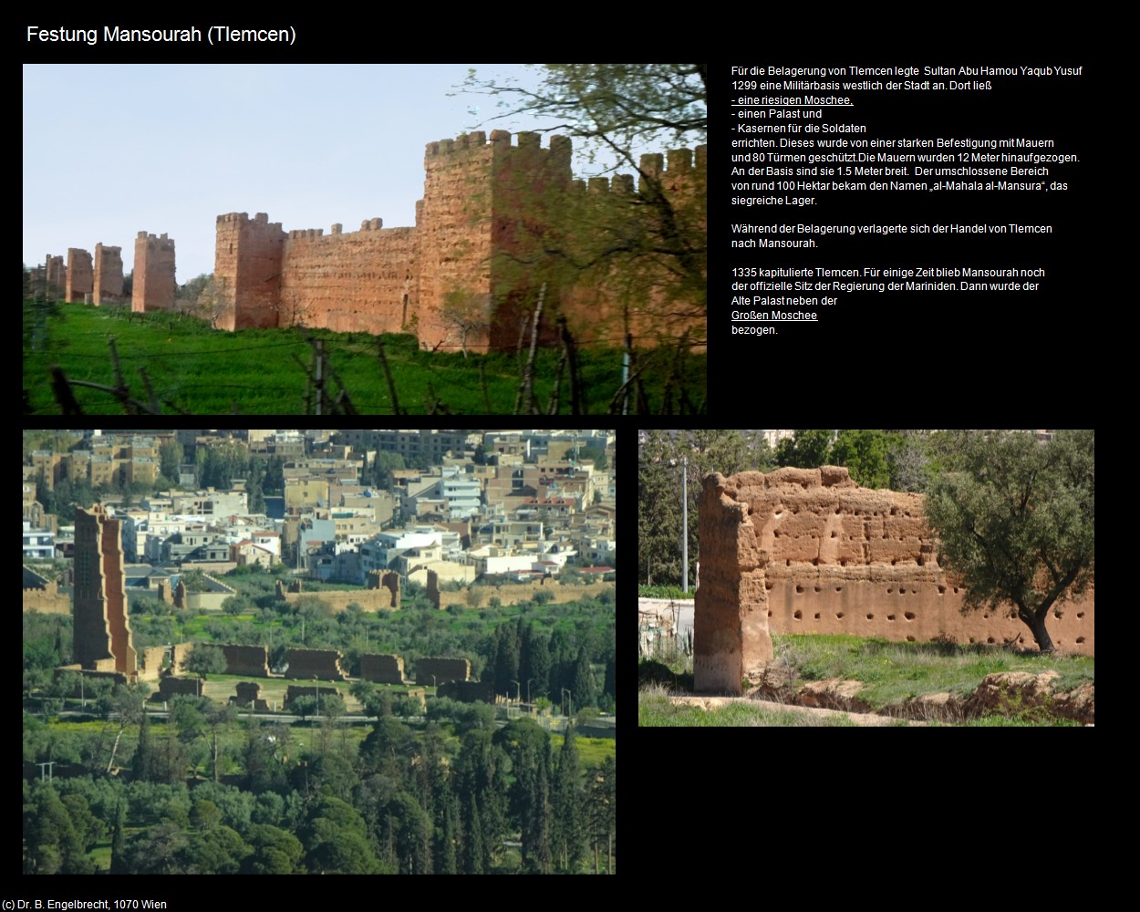 Festung Mansourah (Tlemcen) in Kulturatlas-ALGERIEN(c)B.Engelbrecht