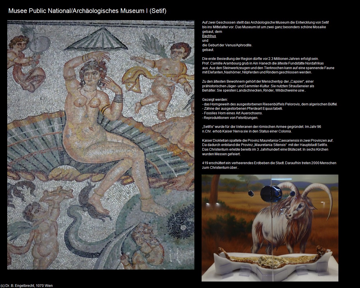 Arch&auml;ologisches Museum I (Setif) in Kulturatlas-ALGERIEN(c)B.Engelbrecht