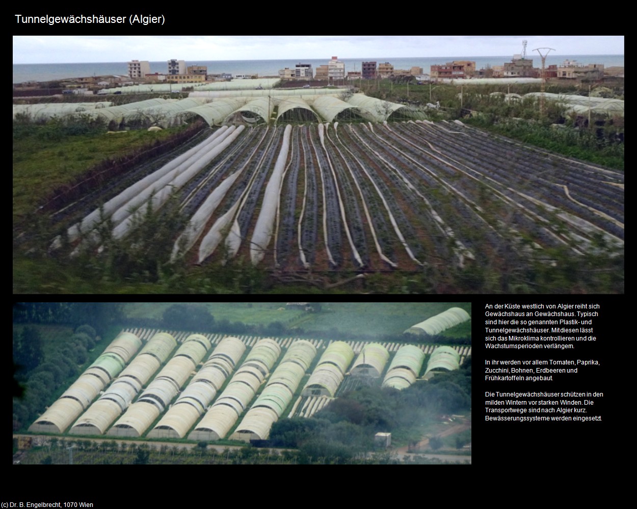 Tunnelgew&auml;chsh&auml;user (Algier) in Kulturatlas-ALGERIEN
