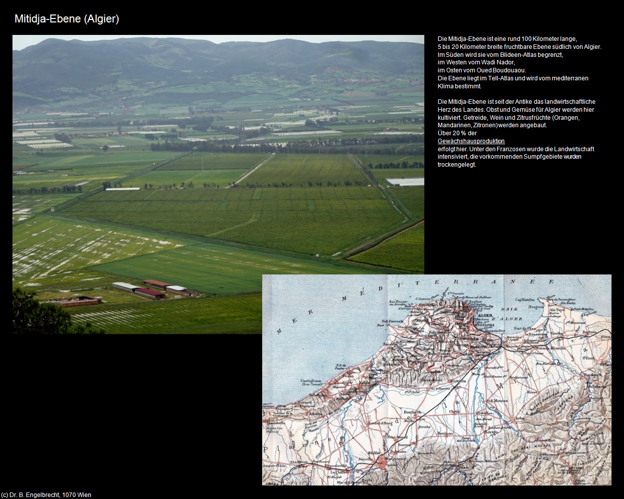 Mitidja-Ebene (Algier) in Kulturatlas-ALGERIEN(c)B.Engelbrecht