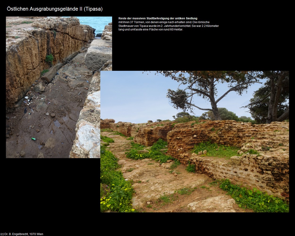 &Ouml;stlichen Ausgrabungsgel&auml;nde II (Tipasa) in Kulturatlas-ALGERIEN