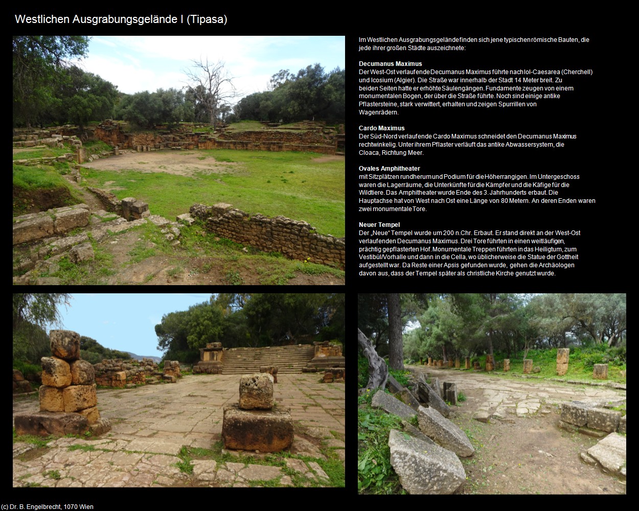 Westlichen Ausgrabungsgel&auml;nde I (Tipasa) in Kulturatlas-ALGERIEN