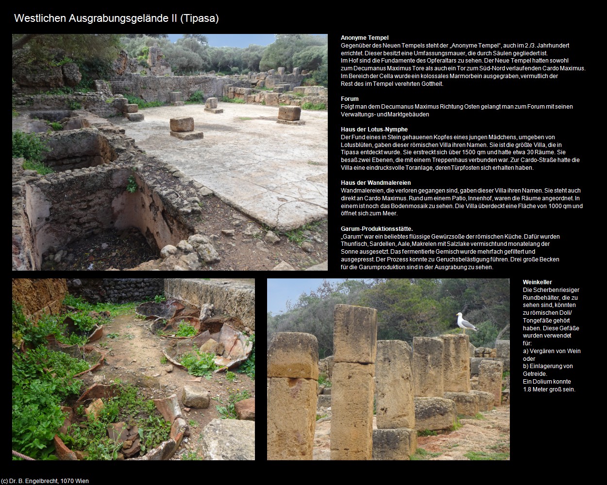 Westlichen Ausgrabungsgel&auml;nde II (Tipasa) in Kulturatlas-ALGERIEN