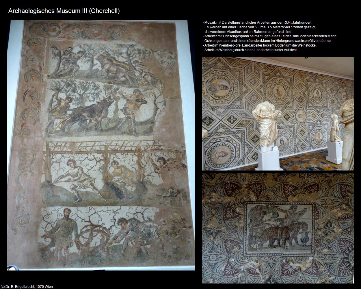 Arch&auml;ologisches Museum III (Cherchell) in Kulturatlas-ALGERIEN