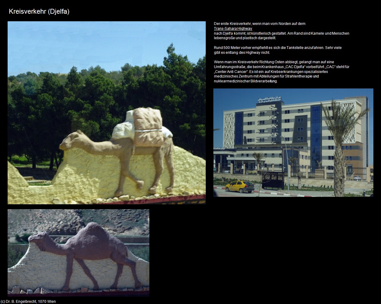 Kreisverkehr (Djelfa) in Kulturatlas-ALGERIEN(c)B.Engelbrecht