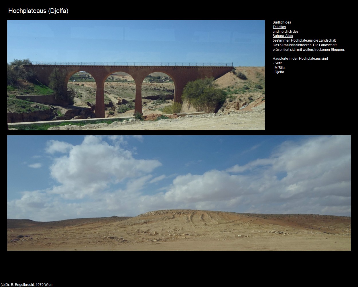 Hochplateaus (Djelfa) in Kulturatlas-ALGERIEN(c)B.Engelbrecht