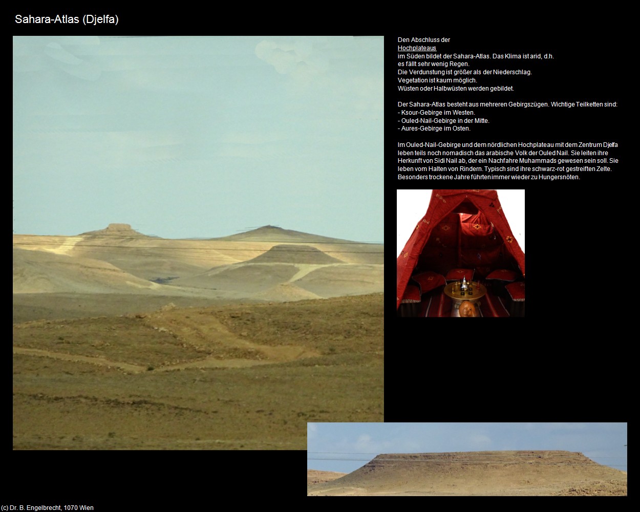 Sahara-Atlas (Djelfa) in Kulturatlas-ALGERIEN(c)B.Engelbrecht