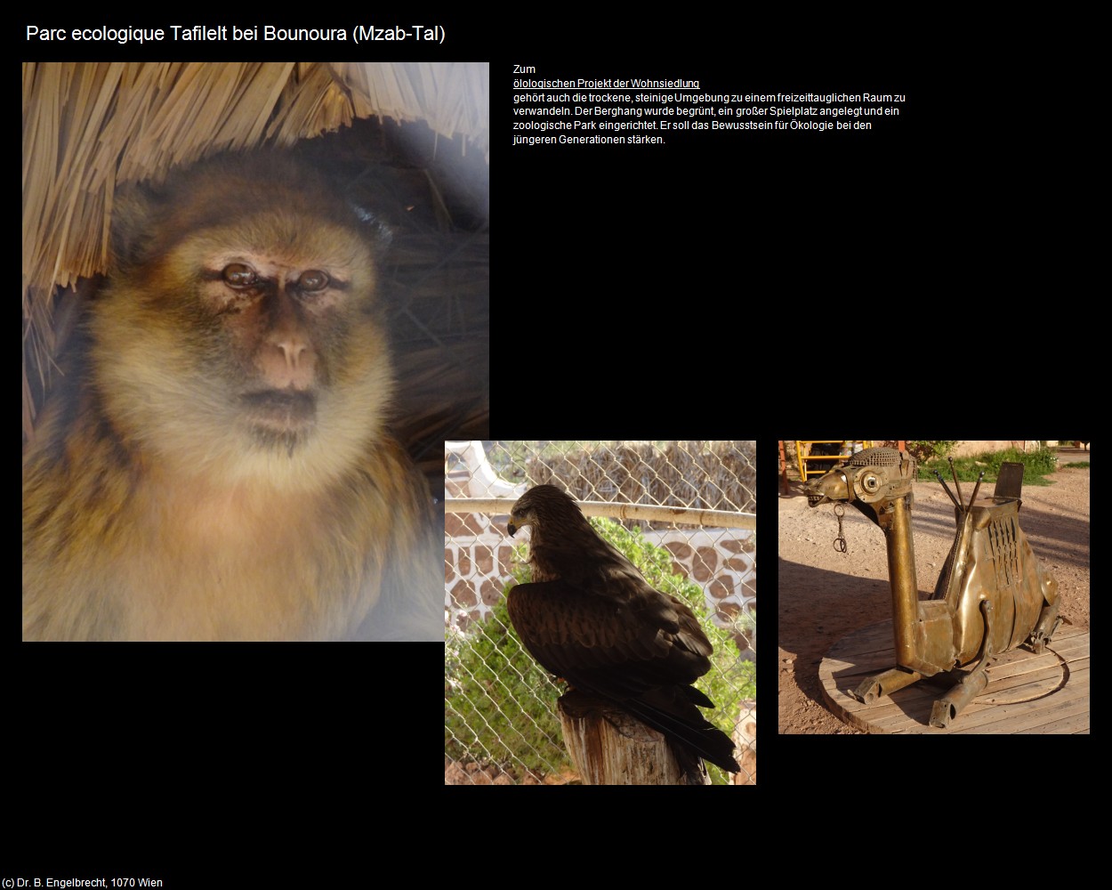 Parc ecologique Tafilelt bei Bounoura (Mzab-Tal) in Kulturatlas-ALGERIEN(c)B.Engelbrecht