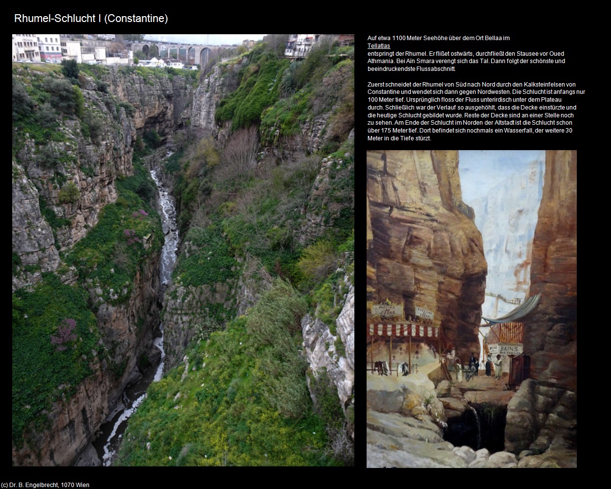 Rhumel-Schlucht I (Constantine) in Kulturatlas-ALGERIEN(c)B.Engelbrecht
