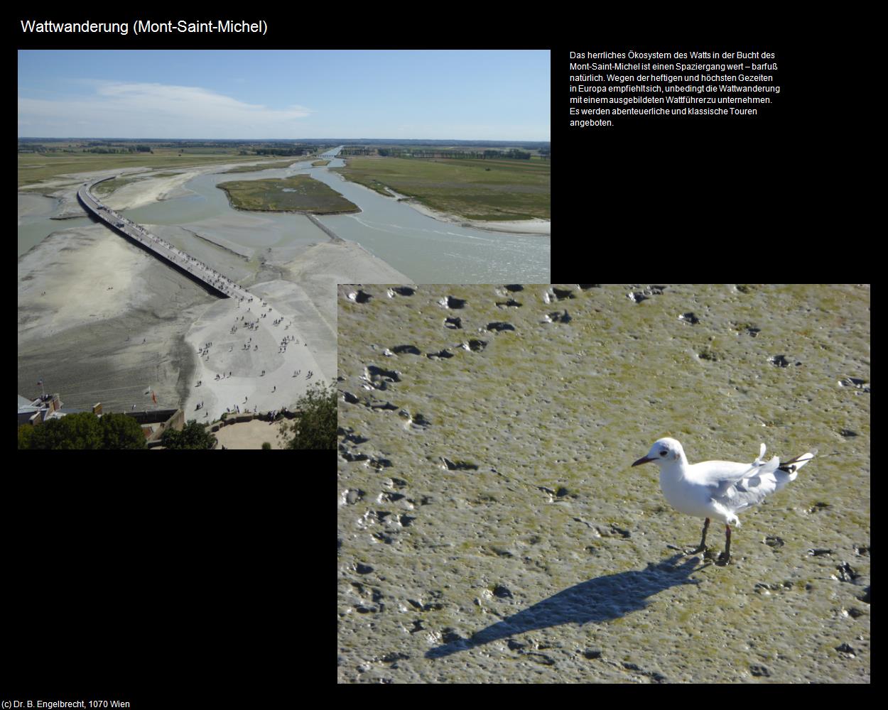 Wattwanderung (Mont-Saint-Michel (FR-NOR)) in Kulturatlas-FRANKREICH